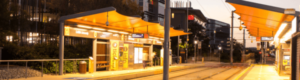 Griffith University